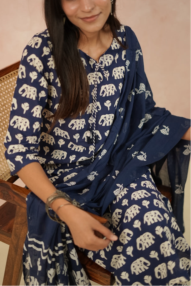 Blue/Red Elephant Print Cotton Kurta Set