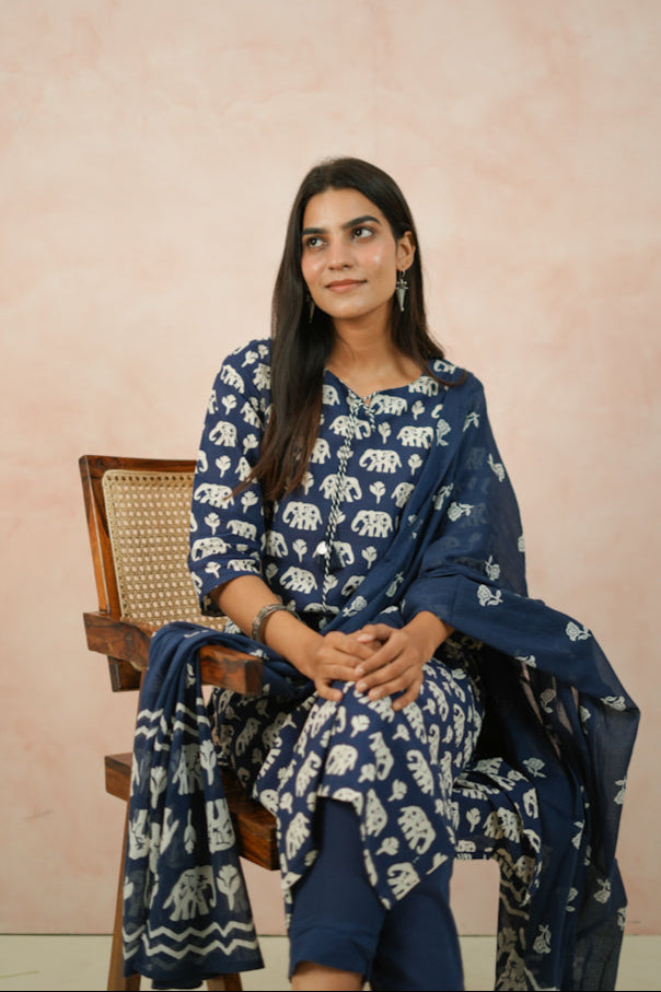 Blue/Red Elephant Print Cotton Kurta Set