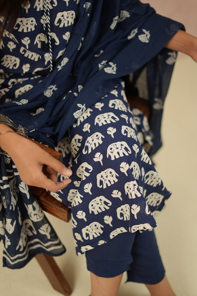 Blue/Red Elephant Print Cotton Kurta Set