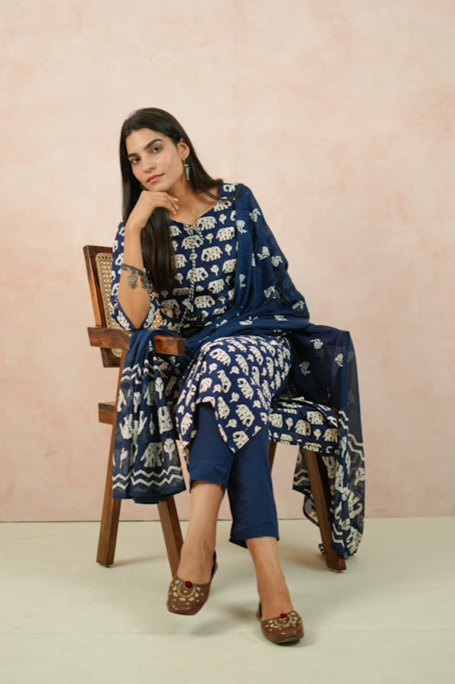 Blue/Red Elephant Print Cotton Kurta Set