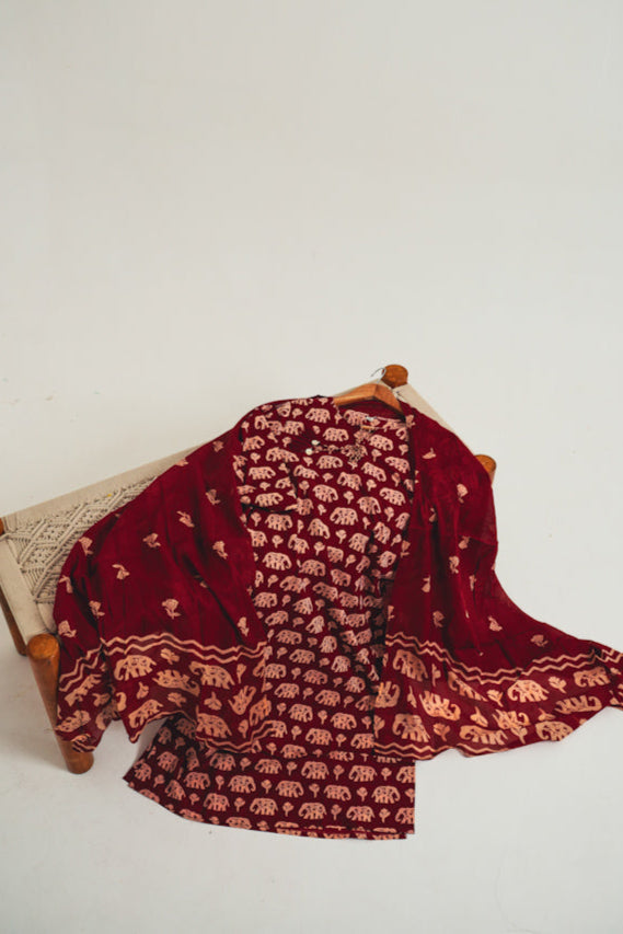 Blue/Red Elephant Print Cotton Kurta Set